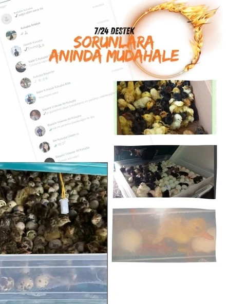 Evonest 70 Yumurtalık Tavuk Kuluçka Makinesi | Hassas Sıcaklık ve Nem Kontrolü - 6