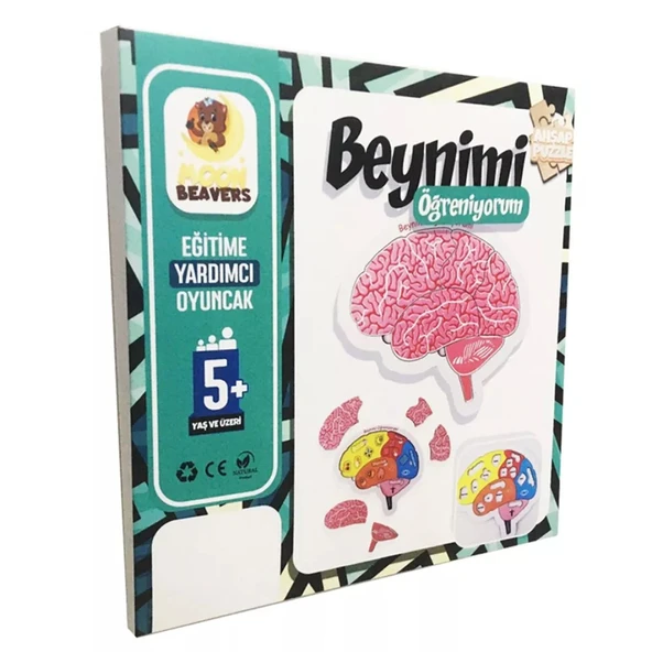 20x20 Eğitici  Ahşap   Beynimi Öğreniyorum 1951