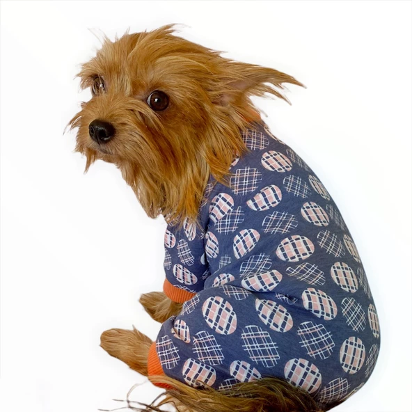 Turuncu Balonlu Penye Tulum Köpek Tulumu  Köpek Elbisesi - 4