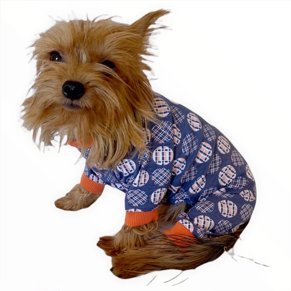 Turuncu Balonlu Penye Tulum Köpek Tulumu  Köpek Elbisesi - 2