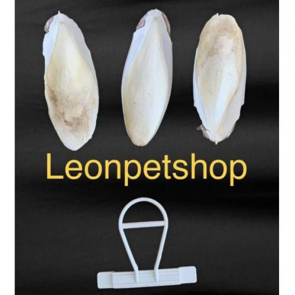 3 Adet Orta Boy (11-13 cm)  Mürekkep Balığı (Kalamar) + 1 Adet Tutma Aparatı - 2