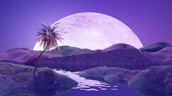 Gece Ay Mor Gökyüzü Temalı Duvar Kağıdı - Resim 7