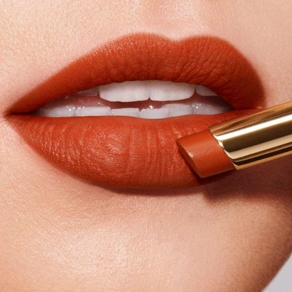 Estee Lauder Pure Color Explict Matte Ruj 106 - 3