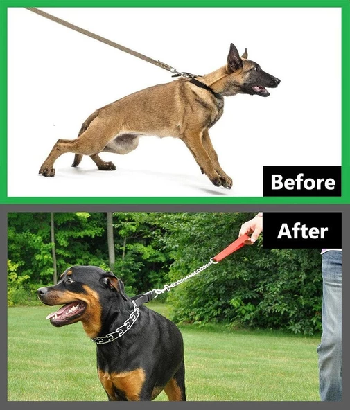 Köpek Kauçuklu Yürüyüş Boyun Zincir Eğitim Tasması 2.5 mm x 35 cm - Resim 4