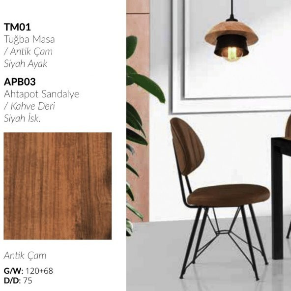 Tugba Masa Antik Çam Ahtapot Sandalye Kahverengi - 3