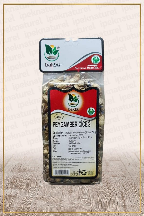 Peygamber Çiçeği (Centaurea obtusifolia)