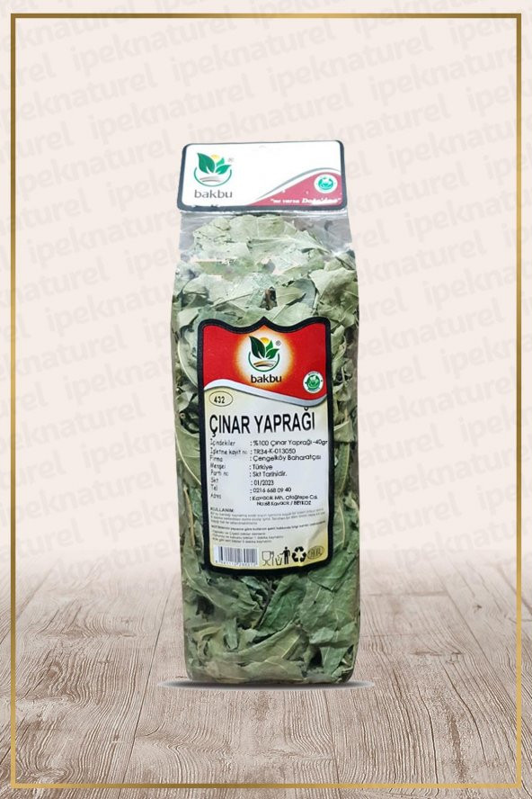 Çınar Yaprağı (Platanus orientalis L.)