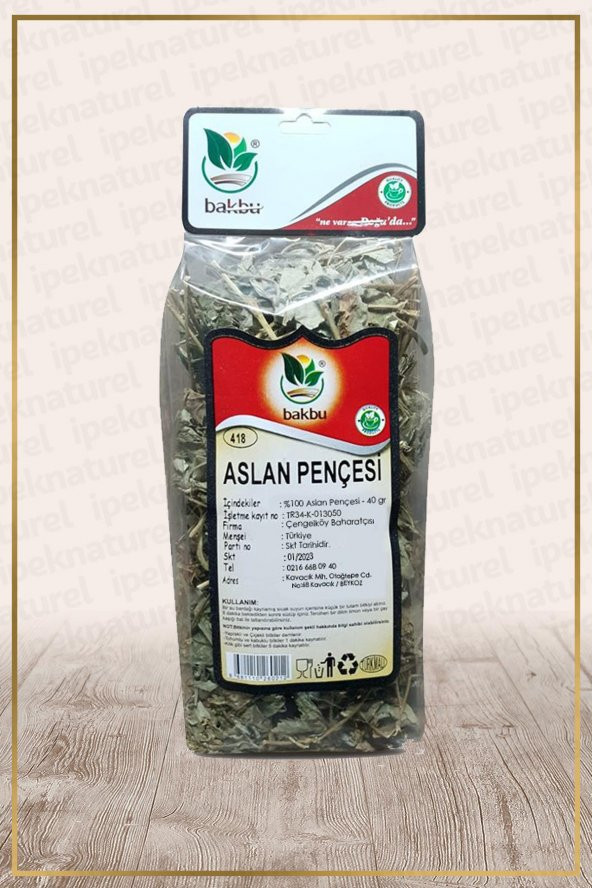 Aslan Pençesi Testere Dişli (Alchemilla vulgaris)