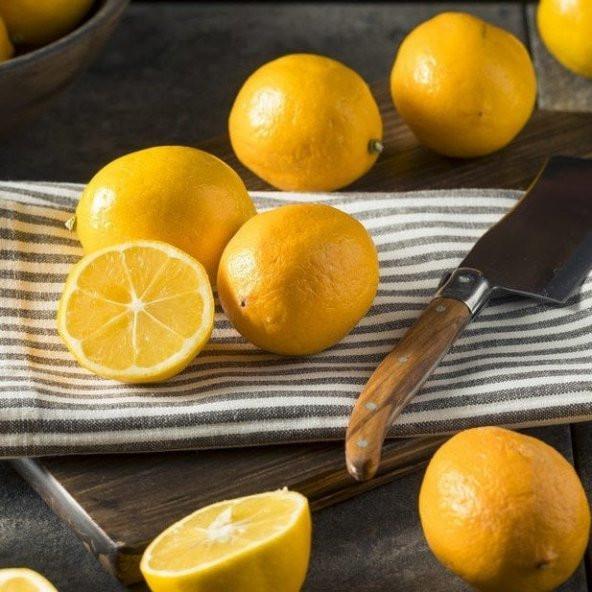 Tüplü  Bol Sulu Finike Kırmızı Limon Fidanı