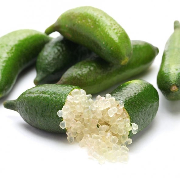 Tüplü Aşılı Mikro-Narenciye Finger Lime Fidanı-Meyve Verme Durumunda - 1