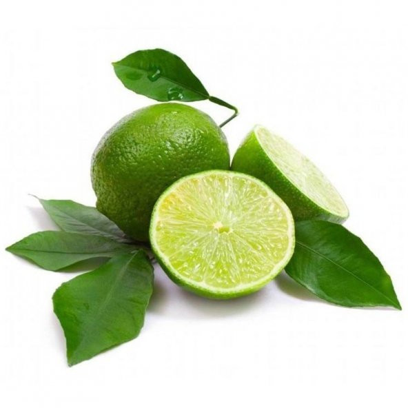 Tüplü Aşılı Meksika Lime Çekirdeksiz Limon Fidanı ürün görseli