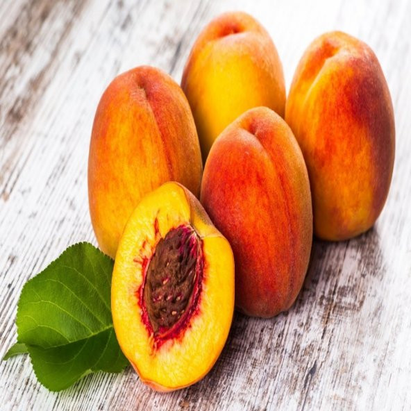 Tüplü Aşılı Yarıbodur Sert Meyveli Glohaven Şeftali Fidanı ürün görseli