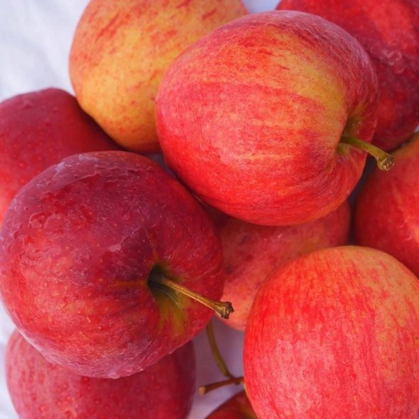 Tüplü Aşılı Yarıbodur Verimli Early Red One Elma Fidanı ürün görseli