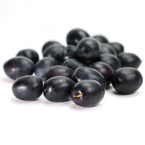 Tüplü Salamuralık Gemlik Zeytin Fidanı