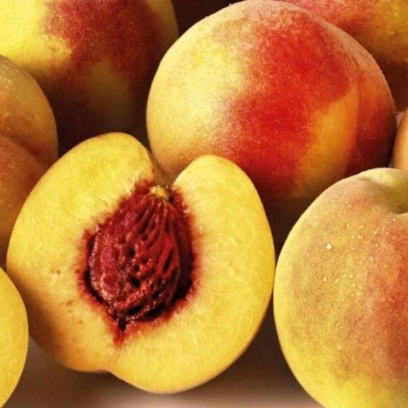 Tüplü Extra Erkenci Nisan Şeftalisi Flored Şeftali Fidanı ürün görseli