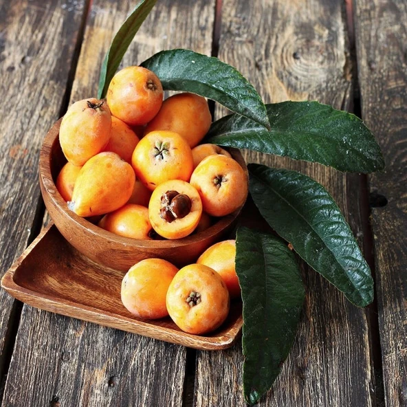 Tüplü Malta Eriği Yeni Dünya Fidanı ürün görseli