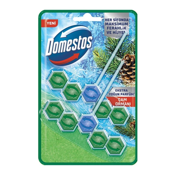 Domestos Tuvalet Bloğu Çam Ormanı 2x50 G