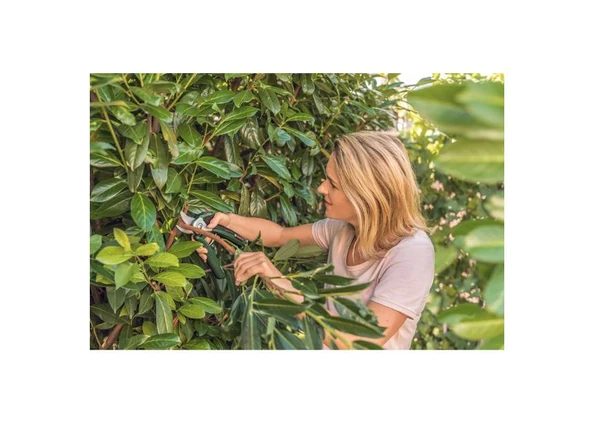 Bosch EasyPrune Akülü Adaptörsüz Dal Budama Makası - 3