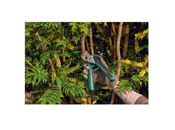Bosch EasyPrune Akülü Adaptörsüz Dal Budama Makası - 2