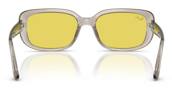 Ray-Ban RB4421D 681885 56 Unisex Güneş Gözlüğü - 3