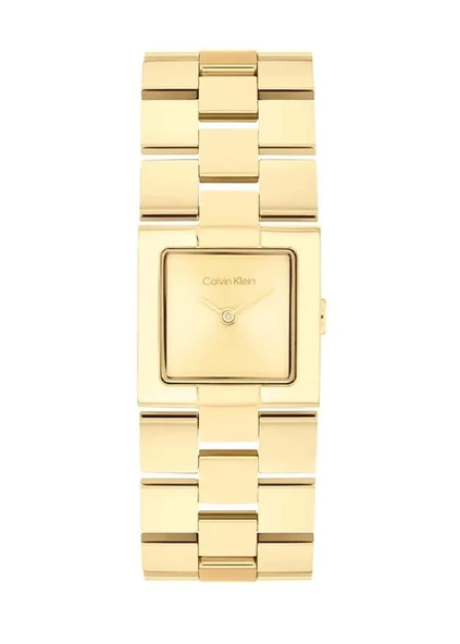 Calvin Klein CK25100089 Kadın Kol Saati ürün görseli 1