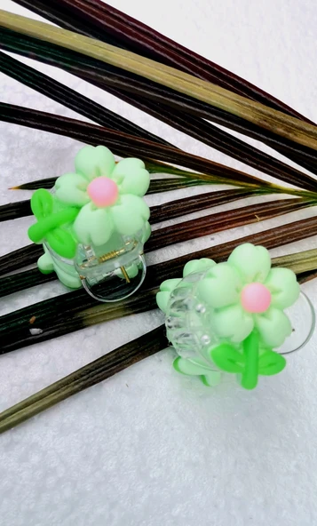 Monalisa Home Lüks Figürlü Renkli  İkili Kıstırma Toka ürün görseli