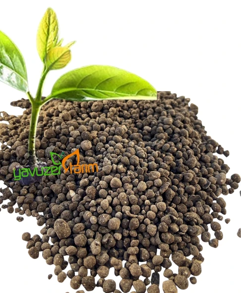 NPK Gübre 15 15 15 Süper Kompoze Taban Gübresi Npk Gübre 25 Kg - 2