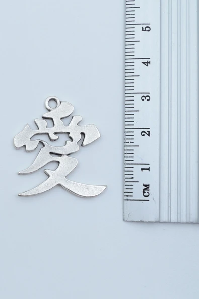 2'li Çin Aşk Sembolü - Çin Feng Shui Şans Parası Gümüş Kaplama Kolye Seti - Resim 4