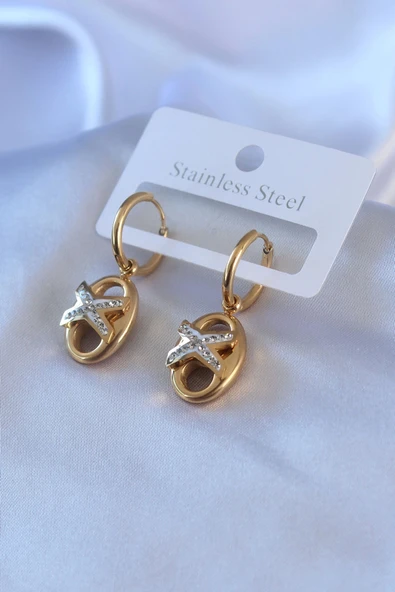HEYF 316L Çelik Gold Renk Zirkon Taş Detay Kadın Küpe ürün görseli 1