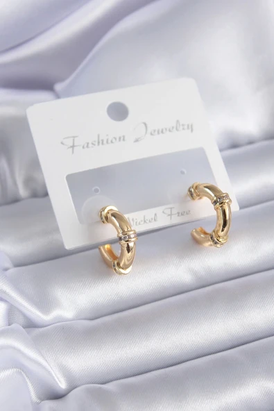 HEYF Gold Renk Zirkon Taş Detay Halka Model Pirinç Kadın Küpe ürün görseli 1