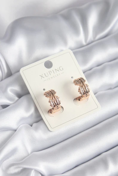 HEYF Xuping Model Zirkon Taşlı Halka Kadın Küpe ürün görseli 1