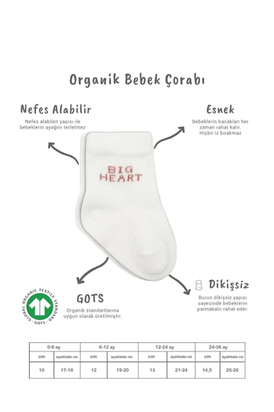 Eterelle 3'lü Penye Soket Çorap Bs10110 Pudra - 6