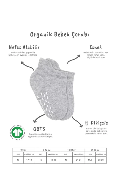 Eterelle 2'li Sneakers Kaymaz Basic Penye Çorap Bs20103 Gri Beyaz - 6