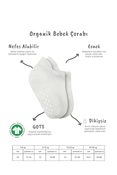 Eterelle 2'li Sneakers Kaymaz Basic Penye Çorap Bs20103 Ekru Ekru - Resim 6