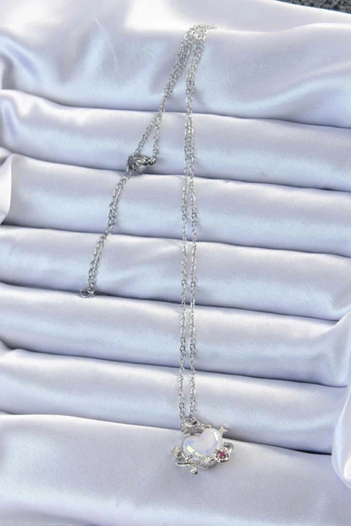 HEYF 316L Çelik Zincir Gümüş Renk Zirkon Taşlı Gezegen Görünümlü Kalp Kolye - Resim 2