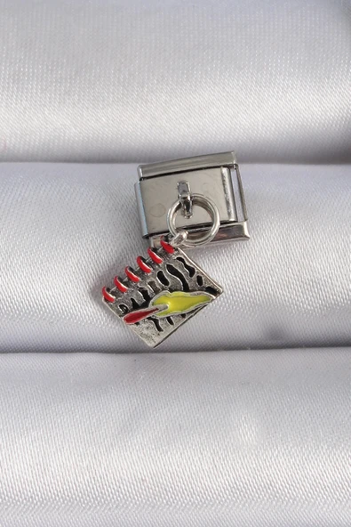 HEYF 316L Çelik Gümüş Renk Sallantı Defter Figür Nomination Charm ürün görseli 1