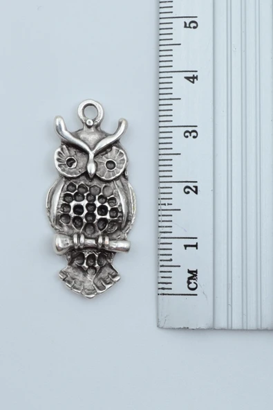 Minimal Baykuş Gümüş Kaplama Düz Zincir Kolye - Resim 3