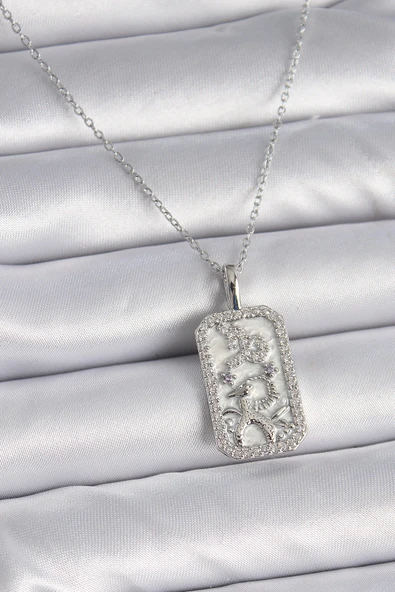 HEYF 316L Çelik Gümüş Renk Zincir Oğlak Burcu Zirkon Taşlı Kadın Kolye ürün görseli 1