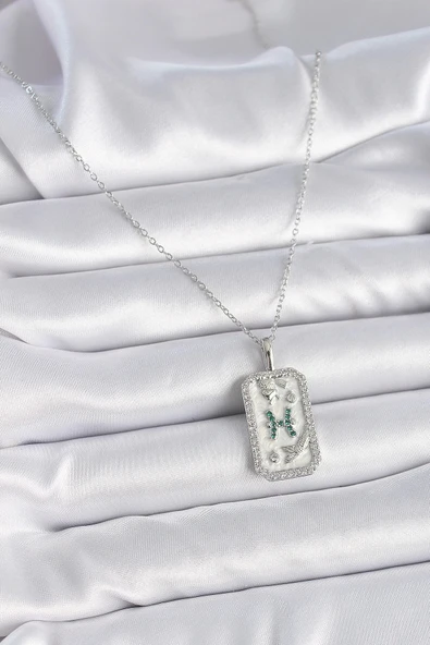 HEYF 316L Çelik Gümüş Renk Zincir Balık Burcu Zirkon Taşlı Kadın Kolye - Resim 2