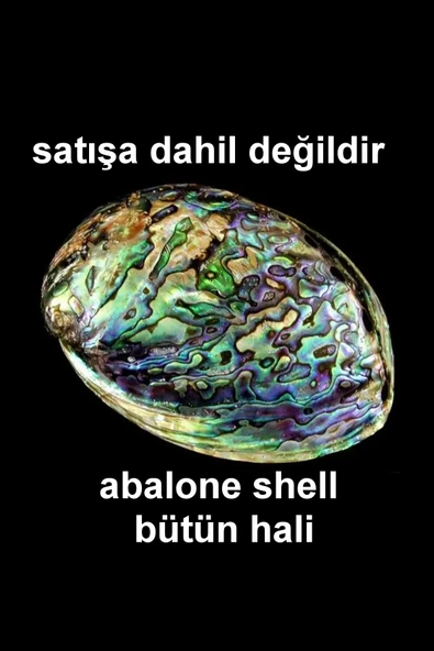 Abalone Shell Süper Renkli Sedef Bileklik 545-3 - 6
