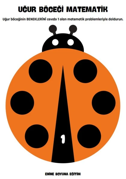 Cırt Cırtlı  Uğur Böcekli Matematik Eğitim Seti - Resim 4