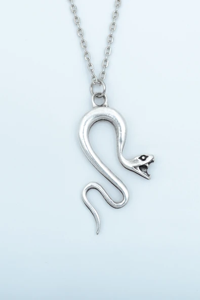 Yılan Gümüş Kaplama Düz Zincir Kolye ürün görseli 1