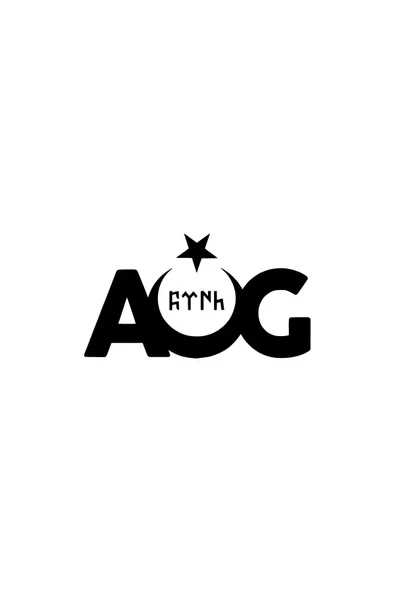 Ftmoto  Aog AyYıldız yapışkan arma Araç&motor&dekor 10 x 5 cm