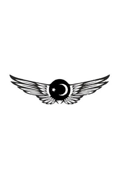 Ftmoto  Ayyıldız Kanat Motosiklet Siperlik Sticker 20 x 5 cm