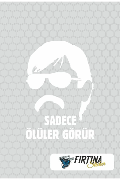Ftmoto  Fırtına Aksesuar 20 X 19 cm Sadece Ölüler Görür Oto Sticker Pala Araba Cam Sticker