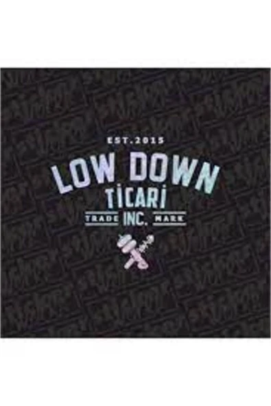 Ftmoto  Low Down Ticari Arka Cam Hologram Sticker