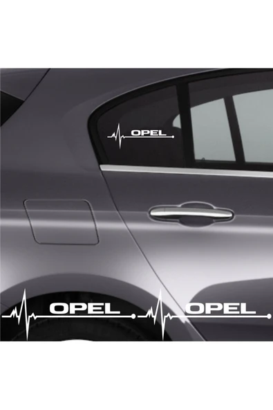 Ftmoto  Opel Antara İçin özel yeni uyumlu Aksesuar Oto Ritim özel yeni sticker 2 Adet 20*9 Cm