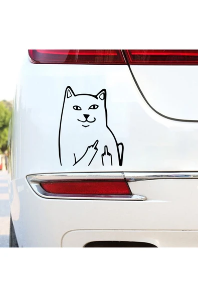 Ftmoto  Mizahi Cam Ve Araç Arkası özel yeni sticker Siyah 10*8 Cm