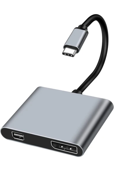 USB Tip C to Mini DP/DP DisplayPort Adaptörü 4K 2 in 1 USB C DisplayPort ve Mini DisplayPort PW-745