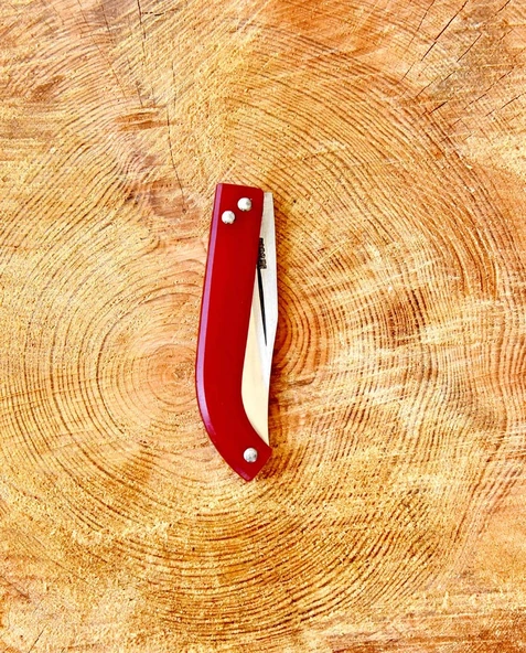 Tapan Aşı Bıçağı 21 cm Paslanmaz - 4